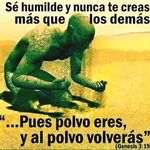 alex handal - @handal.alex - Instagram