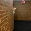 Alex - @alexhardwickk - TikTok