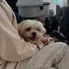 Alex Heather - @alex.heather90 - TikTok