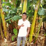 hancy helman alex - @hancyhelmanalex - Instagram