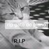 Alex Hiller - @alex_hille_ - TikTok