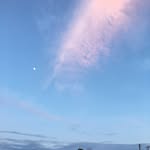 Alex Hoss - @alex.hoss - Instagram