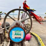 Alex House Restaurante - @alexhouse_pb - Instagram
