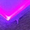 alexiannuzzi__ - @alexiannuzzi__ - TikTok