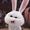 Alexandra - @alex.ioannou753 - TikTok