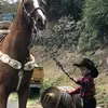 alexjesus - @alexjesus2213 - TikTok
