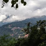 junaid_46 - @alex_junaid_868 - Instagram