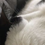 Alex c: - @katzen.alex - Instagram