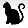 Alex Katzen - @alexcats1 - TikTok