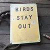 Alex Kiser - @alex.kiser5 - TikTok