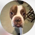 Alex Kitts - @_alexkitts_ - Instagram