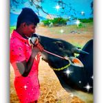 Alex Alex - @kolaru_alex_28 - Instagram
