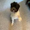 alexkolb15 - @alexkolb15 - TikTok