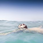 Alex Kovalskiy - @kovalskiyalex777 - Instagram