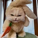 Alex Kovalsky - @kovalsky1829 - Instagram