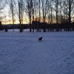 Alex Krylov - @alex.krylov1 - Instagram
