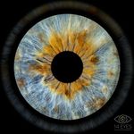 AleXandar Lambros - @alexandar.lambros - Instagram