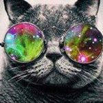 Alex Langer - @alexlanger338 - Instagram