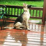 Alex Langer - @alex.langer.75 - Instagram