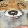 Alex LeBaron - @probablynotgonnausethis_ - TikTok