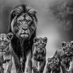 Alex Lebedev - Facebook