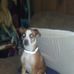Alex Leibowitz - Facebook