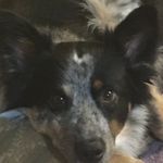 Alex Lemons - @beastlover4425 - Instagram