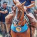 Alex Leu - Facebook