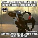 Alex Levis - @alex.levis.948011 - Instagram