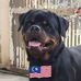 Alex Liew - Facebook
