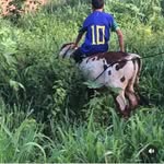 Derrone Carlos De Alcântara Carlos - @alex_lira_alcantara_ - Instagram