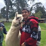 Alexander Loeb - @alex_loeb11 - Instagram