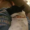 Alex_Longo8 - @alex_longo8 - TikTok