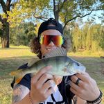 Alex Looney - @looneythefisho - Instagram