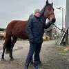 Alexluc - @alexislucas233 - TikTok