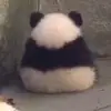 Alex - @alexluong10 - TikTok