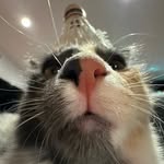 Alex Luong - @alexluong76 - Instagram