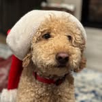 Alex Lyman - @sidematter - Instagram