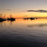 Alex MacDougall - @macdougall407 - Instagram
