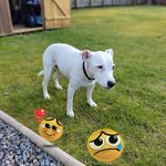 Alex Mackay - @alexmackay75 - Instagram