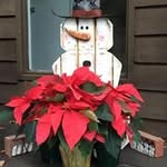Alex Magee - @mageehsld - Instagram