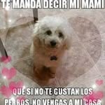 Alex Mahecha - @alex.mahecha.545 - Instagram