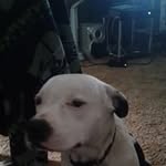 Alex Maloney - @maloneyalex60 - Instagram