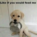 Alex manson - @alexmanson83 - Instagram