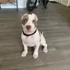 alexmantanona - @alex.mantanona - TikTok