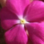 alex_maple - @alex_maple - Instagram