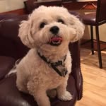 Alex Marinakos - @alex_marinakos - Instagram