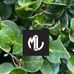 Alex Mask - Facebook