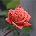 Alex Mathew - Facebook