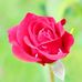 Alex Mathew - Facebook